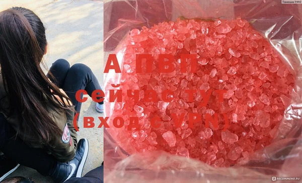 не бодяженный Абаза