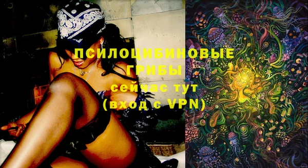 бошки Алексеевка