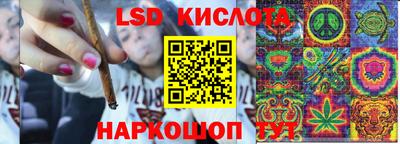 бошки Камышлов