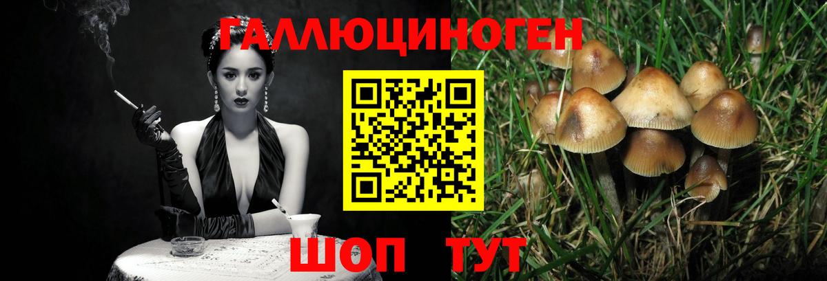 Галлюциногенные грибы мицелий Майский